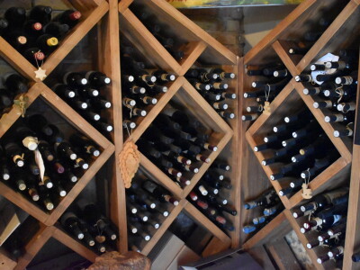 Green visit Podunavlje