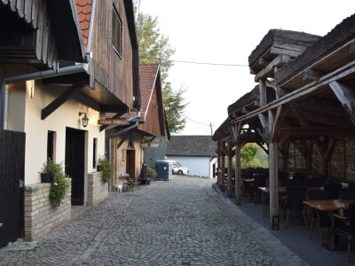 Green visit Podunavlje