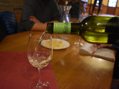 Green visit Podunavlje