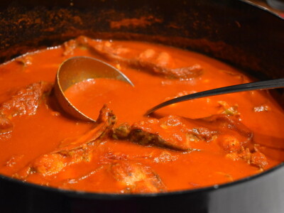 Green visit Podunavlje