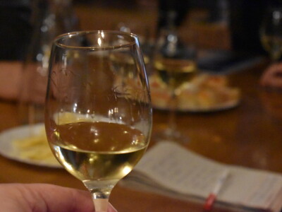 Green visit Podunavlje