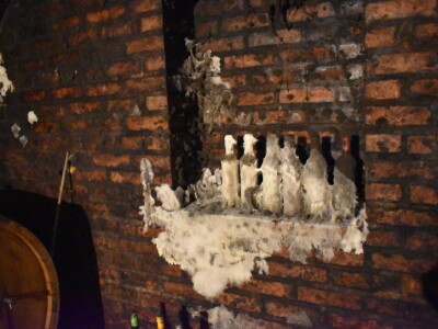 Green visit Podunavlje