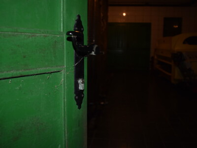 Green visit Podunavlje