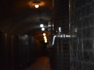 Green visit Podunavlje