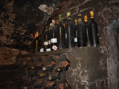 Green visit Podunavlje