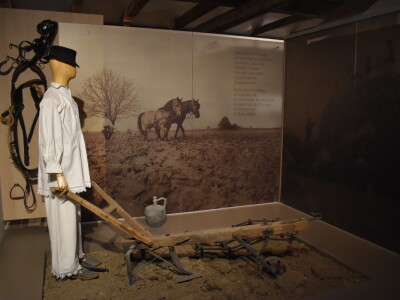 Green visit Podunavlje