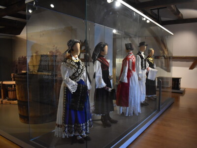 Green visit Podunavlje