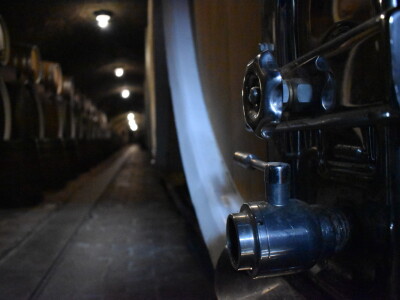 Green visit Podunavlje