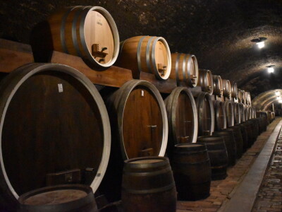 Green visit Podunavlje