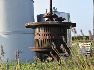 Green visit Podunavlje