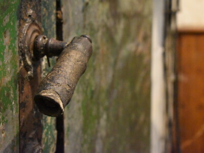 Green visit Podunavlje