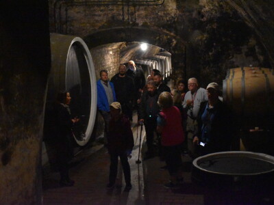 Green visit Podunavlje