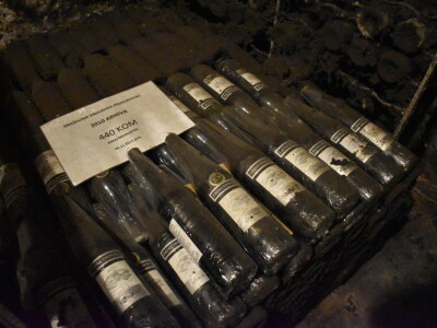 Green visit Podunavlje