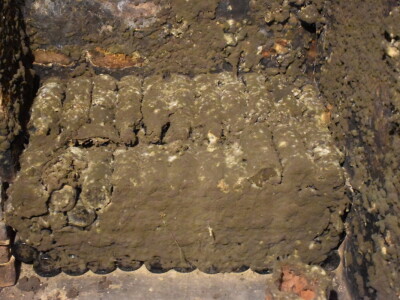 Green visit Podunavlje