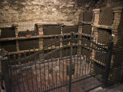 Green visit Podunavlje