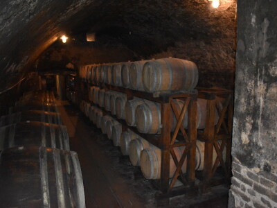 Green visit Podunavlje