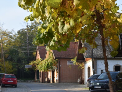 Green visit Podunavlje