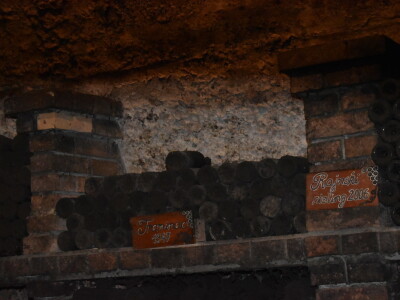 Green visit Podunavlje