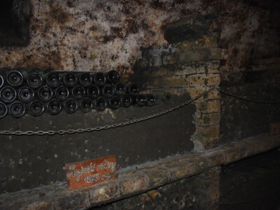 Green visit Podunavlje