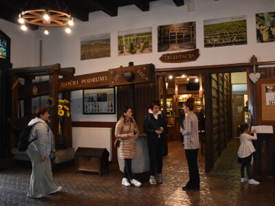 Green visit Podunavlje