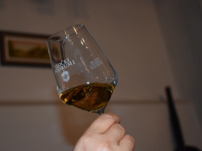 Green visit Podunavlje