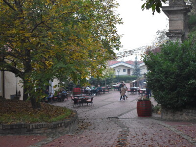 Green visit Podunavlje