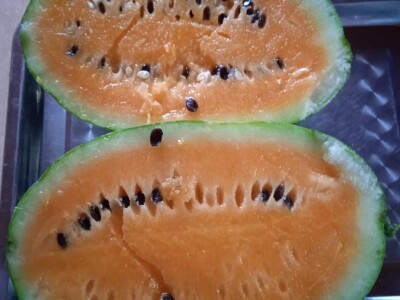 Grijanje plastenika lampionima