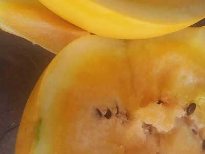 Grijanje plastenika lampionima