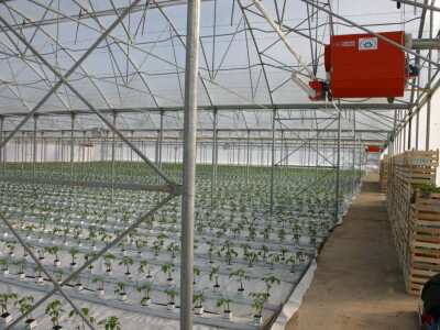 Grijanje zaštićenih prostora za potrebe proizvodnje povrća i cvijeća