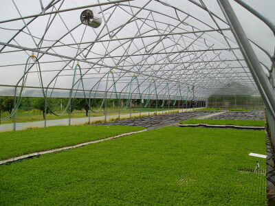 Grijanje zaštićenih prostora za potrebe proizvodnje povrća i cvijeća