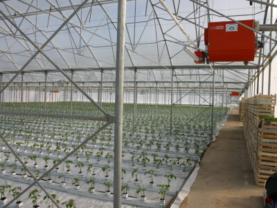 Grijanje zaštićenih prostora za potrebe proizvodnje povrća i cvijeća