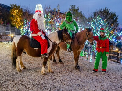 OPG Tihomir Lučić Gornji Dolac
