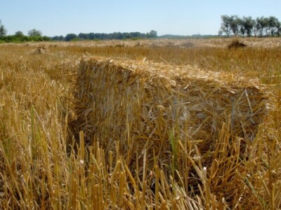 Dodatni prihod od žetvenih ostataka