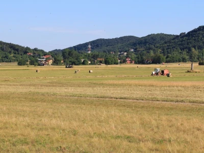Grobničko polje