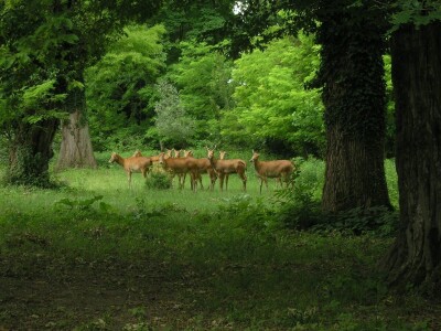 Grof Nikolaus Draskovich planira velika ulaganja Grof Nikolaus Draskovich planira velika ulaganja
