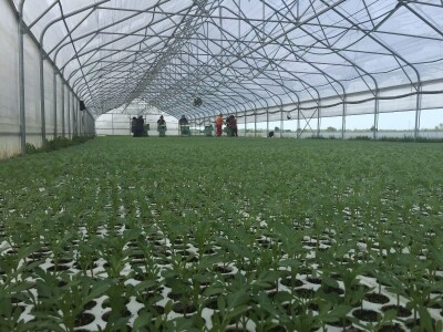 Grof Nikolaus Draskovich planira velika ulaganja Grof Nikolaus Draskovich planira velika ulaganja