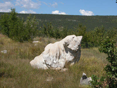 Kamena gromada od 4,5 tone iskopana iz zemljišta Marjanova voćnjaka koju je nositelj OPG nazvao kamenim medvjedom