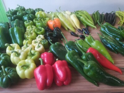 Growtech turski sajam poljoprivrede