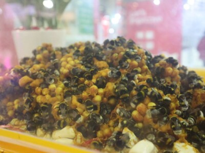 Growtech turski sajam poljoprivrede