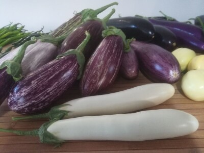 Growtech turski sajam poljoprivrede