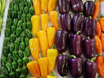 Growtech turski sajam poljoprivrede