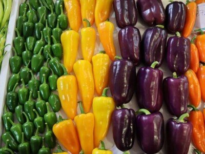 Growtech turski sajam poljoprivrede