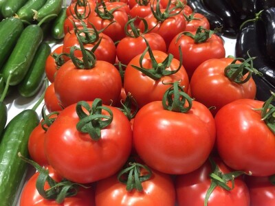 Growtech turski sajam poljoprivrede