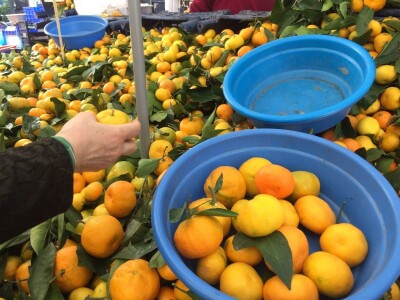 Growtech turski sajam poljoprivrede