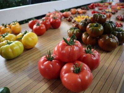 Growtech turski sajam poljoprivrede