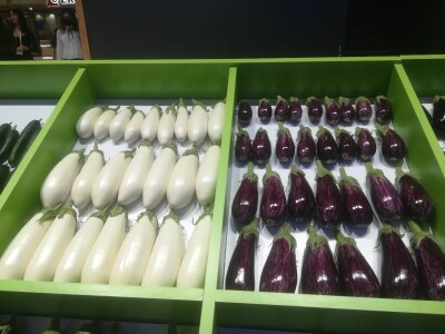 Growtech turski sajam poljoprivrede