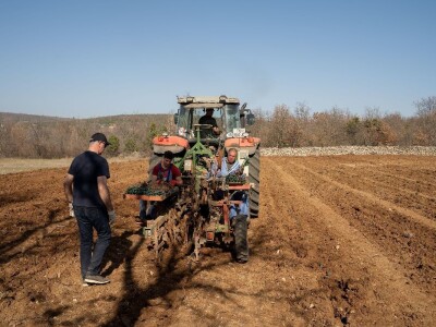 Grožđe beremo ručno, i to su nam najljepši dani u godini