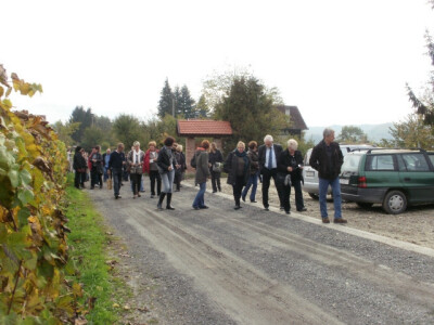 Često ih posjećuju domaći i strani gosti