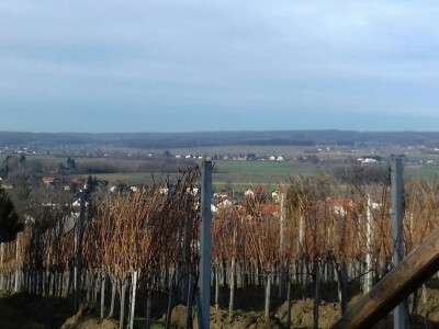 Zimski pogled s Bilogore na Podravinu