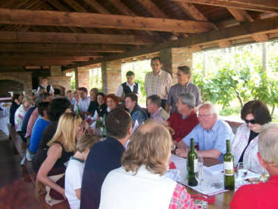 Što je ljeti bolje nego s društvom sjediti u hladu i uživati u kvalitetnim vinima